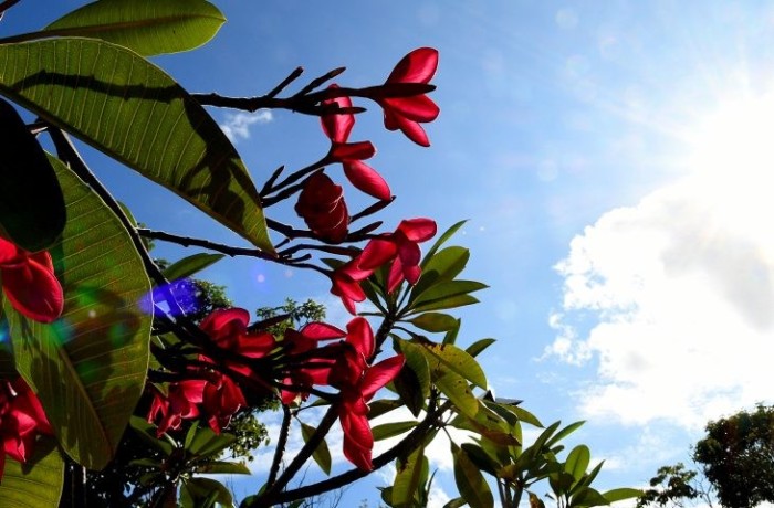 Tempo seco, sol forte e temperaturas em elevação são destaques do final de semana
