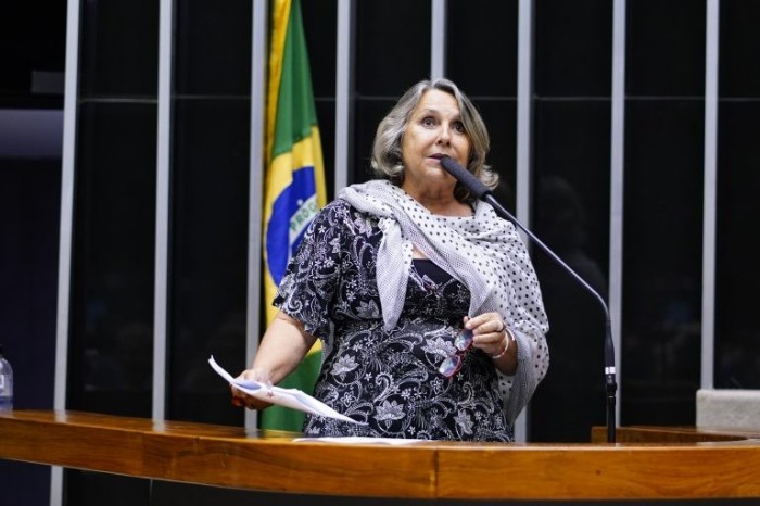 Erika Kokay, relatora do projeto de lei - (Foto: Pablo Valadares/Câmara do Deputados)
