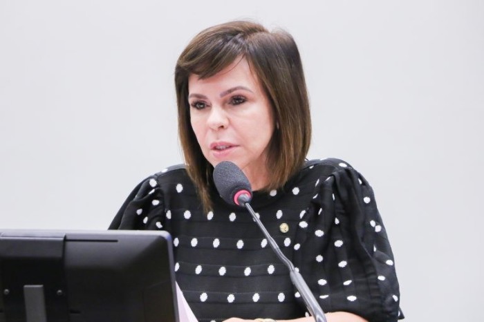A autora da proposta, deputada Professora Dorinha Seabra Rezende - (Foto: Wesley Amaral/Câmara dos Deputados)