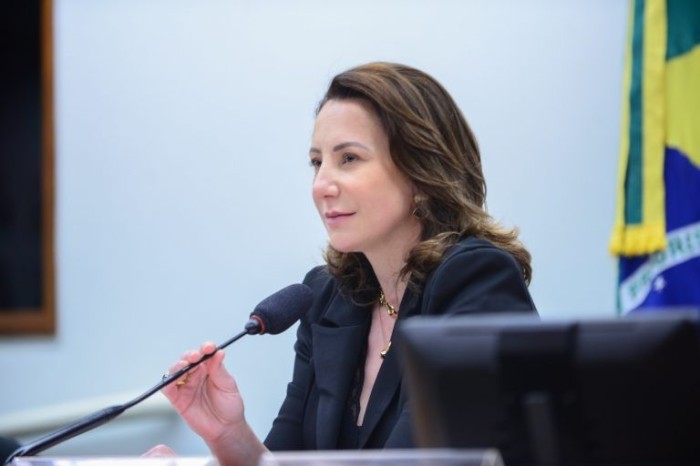 Deputada Jaqueline Cassol, uma das autoras do projeto - (Foto: Billy Boss/Câmara dos Deputados)