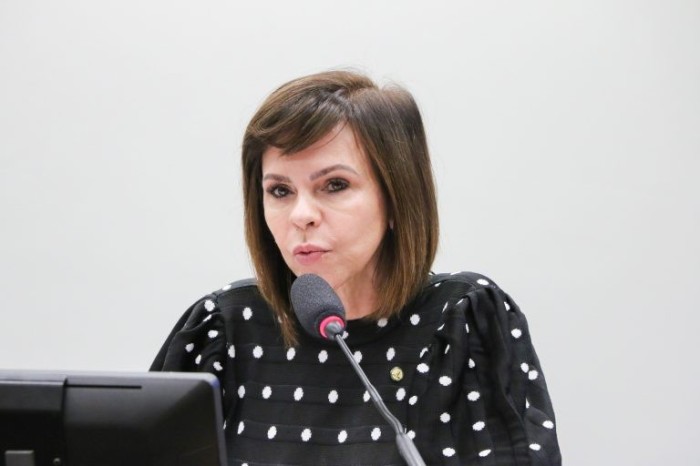 Professora Dorinha: programa valoriza o artesanato brasileiro - (Foto: Wesley Amaral/Câmara dos Deputados)