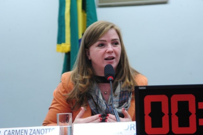 Leandre: legislação vigente é incapaz de lidar adequadamente com cada caso concreto - (Foto: Billy Boss/Câmara dos Deputados)