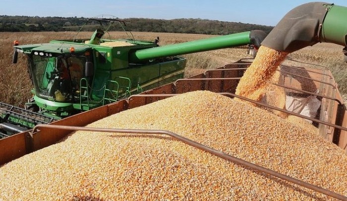 Exportações de MS crescem 19,86% em 11 meses, com desempenho forte de itens industrializados