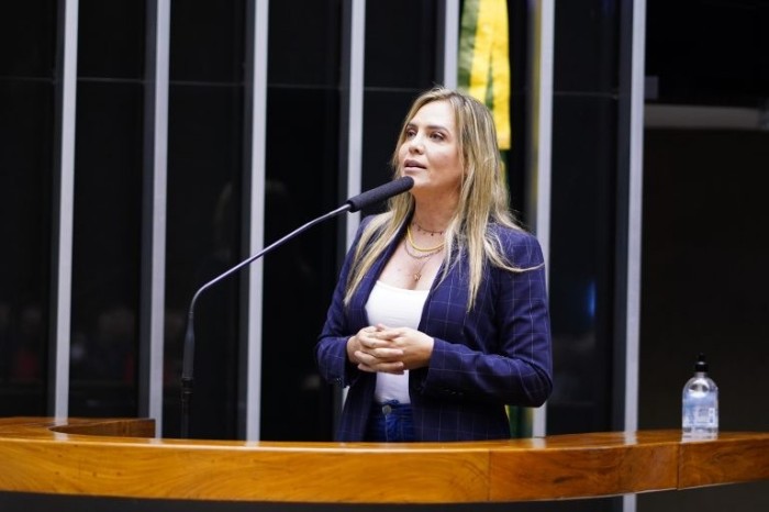 Celina Leão, autora do projeto de lei - (Foto: Pablo Valadares/Câmara dos Deputados)