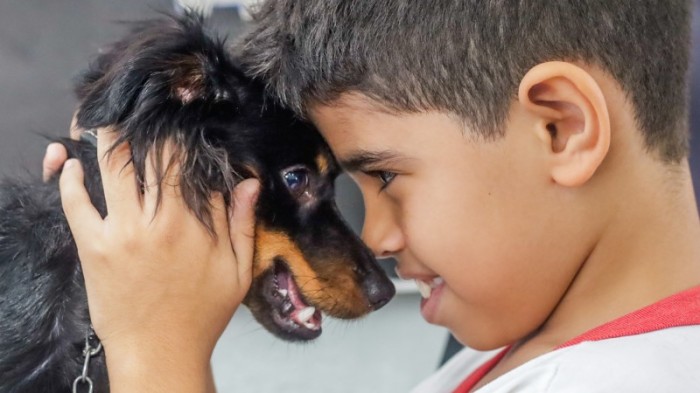 Aprendizagem com pets muda rotina de estudos de alunos no Paranoá
