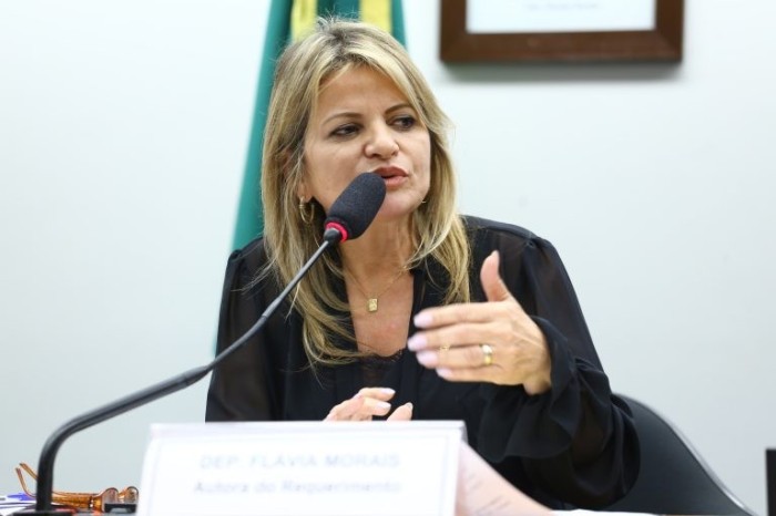 Flávia Morais excluiu aplicação do CDC sobre contratos com fundos de pensão - (Foto: Vinicius Loures/ Câmara dos Deputados)