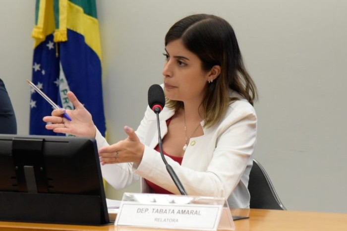 Tabata Amaral: bens reciclados podem ser convertidos em matéria-prima - (Foto: Alan Rones/Câmara dos Deputados)
