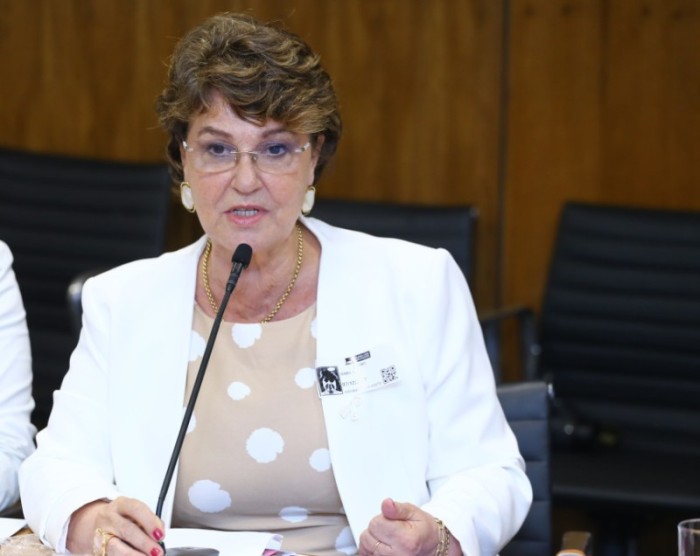 Deputada Cristina Silvestri (CDN), procuradora da Mulher na Assembleia Legislativa do Paraná. / Créditos: Vinicius Loures/Câmara dos Deputados