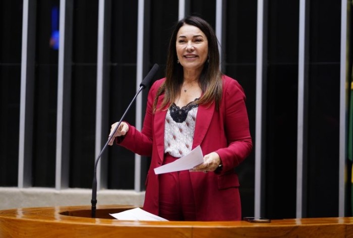 Margarete Coelho, relatora da proposta - (Foto: Pablo Valadares/Câmara dos Deputados)