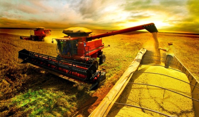 Seapa / Divulgação