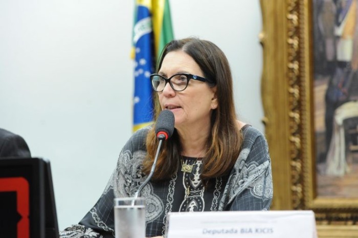 Bia Kicis quer fortalecer federalismo, simplificar tributação sobre o consumo e estimular crescimento econômico - (Foto: Billy Boss/Câmara dos Deputados)