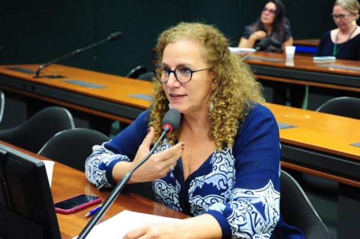 Para Jandira, regra vai dificultar o acesso da parcela mais vulnerável da população aos serviços - (Foto: Billy Boss/Câmara dos Deputados)