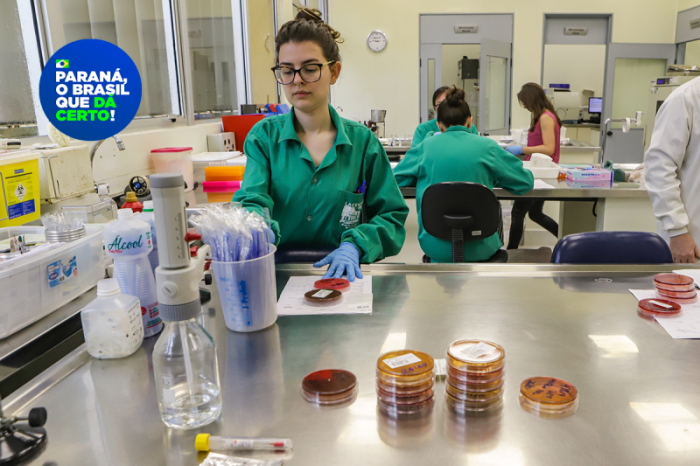 Foto: Roberto Dziura Jr/AEN