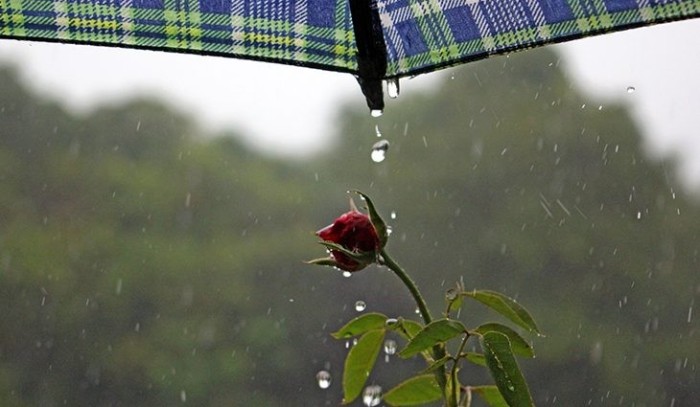 Terça-feira segue com tempo instável, com previsão de chuva em diferentes regiões