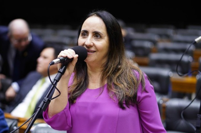Adriana Ventura, autora do projeto de lei - (Foto: Pablo Valadares/Câmara dos Deputados)