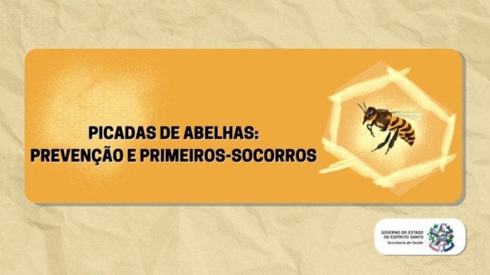 Picada de abelhas: Espírito Santo registra maior número de óbito dos últimos seis anos