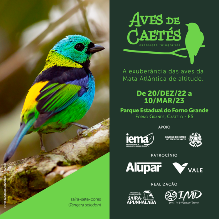 Parque Estadual do Forno Grande recebe exposição fotográfica ‘Aves de Caetés’