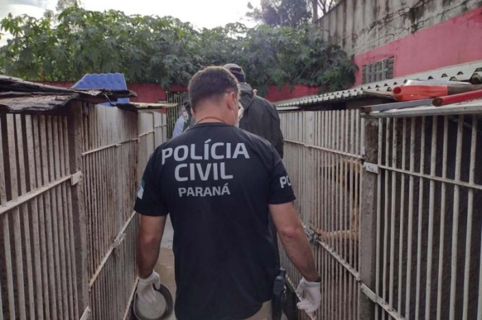 Foto: PCPR