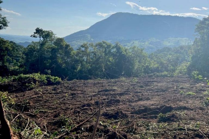 Foto: Polícia Ambiental