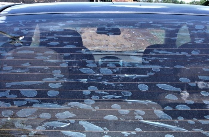 Nova Lei do Insulfilm: bolhas podem gerar multa e pontos na CNH