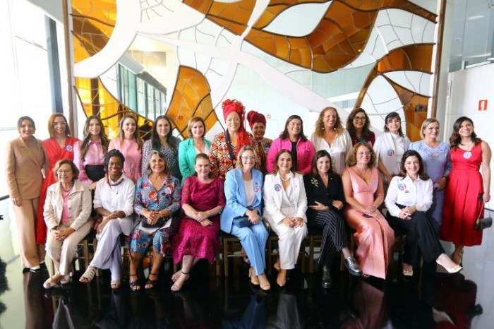 Deputadas querem ocupar espaços de poder dentro da Câmara dos Deputados - (Foto: Vinicius Loures/Câmara dos Deputados)