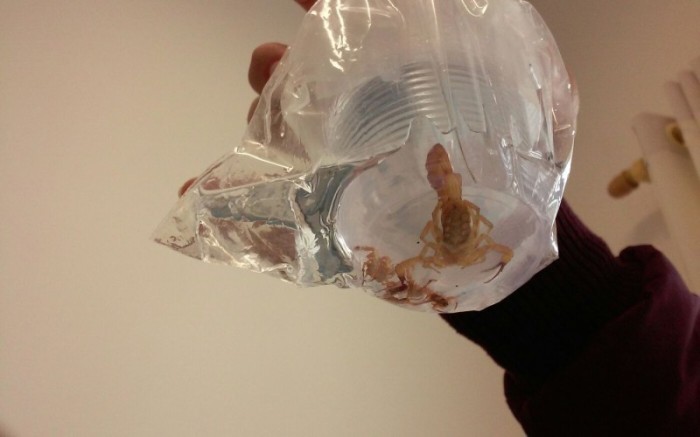 © Arquivo/Agência Brasil