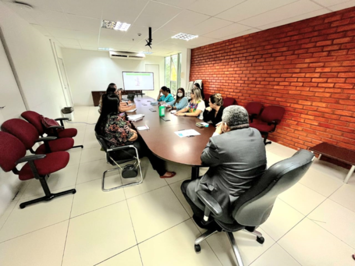 Sesapi e municípios discutem Plano Nacional de Imunização e vacina contra covid