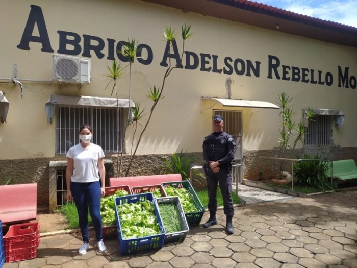 Unidade prisional realiza doações de verduras a instituições de Cachoeiro de Itapemirim