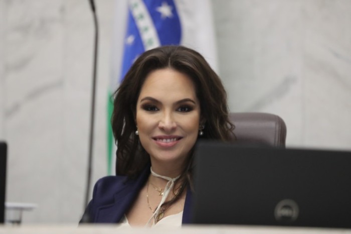 De acordo com a parlamentar, o texto tem o objetivo de proteger o meio ambiente, combater o desperdício e reduzir os custos de obras. / Créditos: Orlando Kissner/Alep