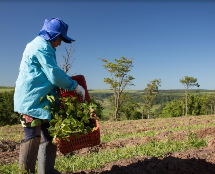 Metalacre Ind e Com de Lacres Ltda