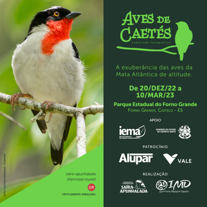 Exposição fotográfica ‘Aves de Caetés’ segue em cartaz no Parque Estadual do Forno Grande