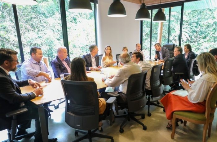 Governador se reúne com a bancada federal para discutir projetos e investimentos para o Estado