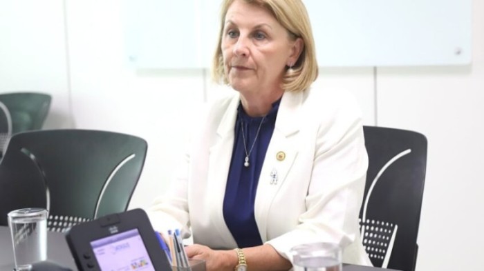 “Trata-se de um tema fundamental para melhorar e ampliar os serviços para a população”, declarou a parlamentar. / Créditos: Divulgação