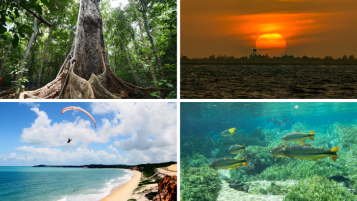 Maragogi (AL); Luís Correia (PI); Tibau do Sul (RN); Jardim (MS). Crédito: Marco Ankosqui; Chico Rasta; Humberto Sales; Flávio André/MTur Destinos