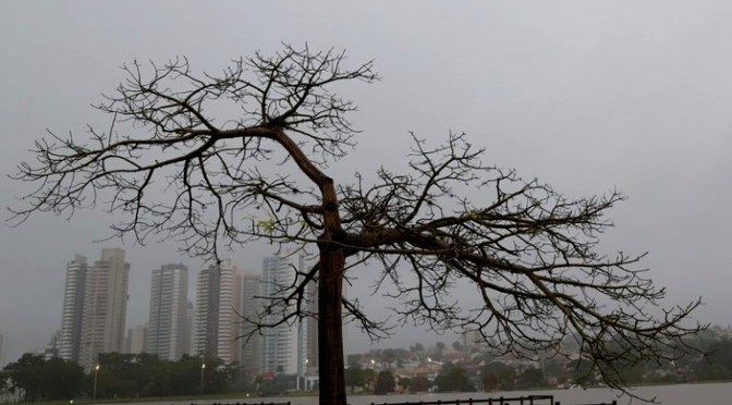 Chuvas fortes atingem cidades no sul e no leste de MS neste domingo