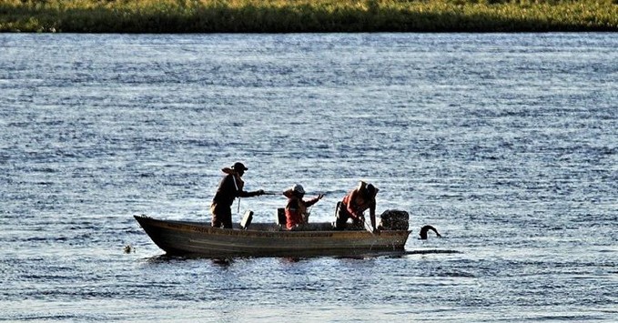 Aberta temporada de pesca, Imasul esclarece regras vigentes em MS e ensina como emitir a Carteira Digital