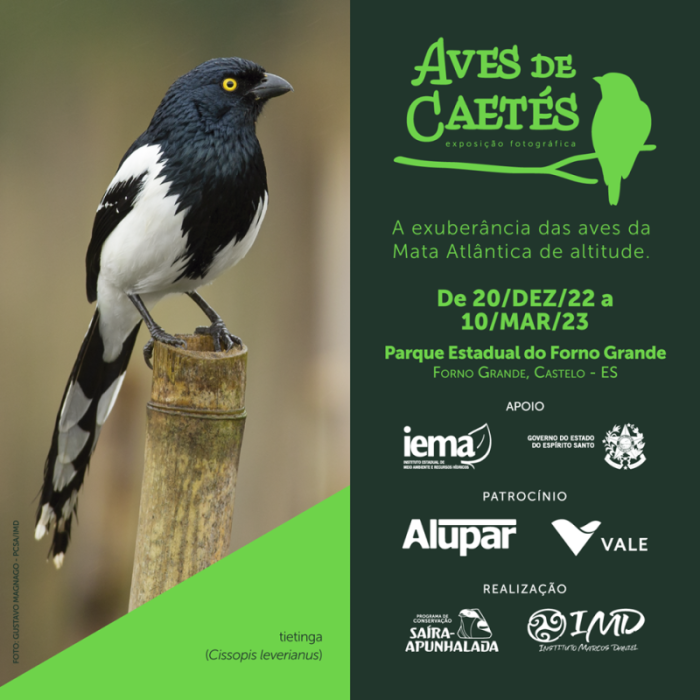 Exposição ‘Aves de Caetés’ segue em exibição no Parque Estadual do Forno Grande até sexta-feira (10)