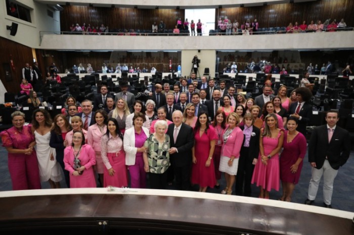 Premiação foi entregue durante o Grande Expediente da sessão plenária desta quarta-feira (8). / Créditos: Orlando Kissner/Alep
