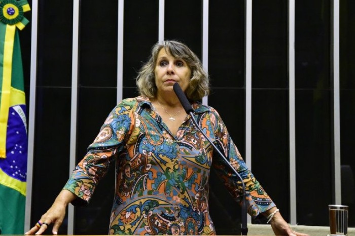 Erika Kokay, relatora da proposta - (Foto: Cleia Viana/Câmara dos Deputados)