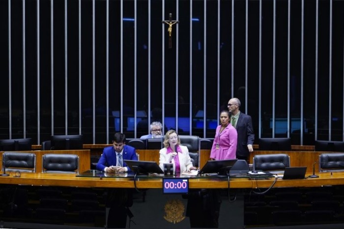 Deputada Maria do Rosário preside a sessão do Plenário - (Foto: Pablo Valadares/Câmara dos Deputados)