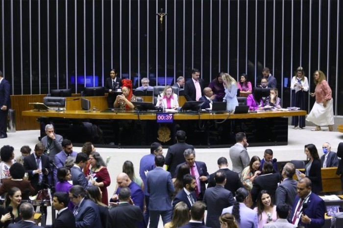 Deputados votam projetos no Plenário - (Foto: Vinicius Loures/Câmara dos Deputados)
