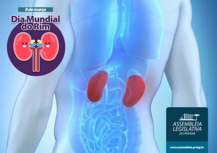 Data é celebrada na segunda quinta-feira do mês de março, com ações voltadas para a prevenção da Doença Renal Crônica (DRC) em todas as nações do mundo. / Créditos: Arte: Vinícius Leme/Alep