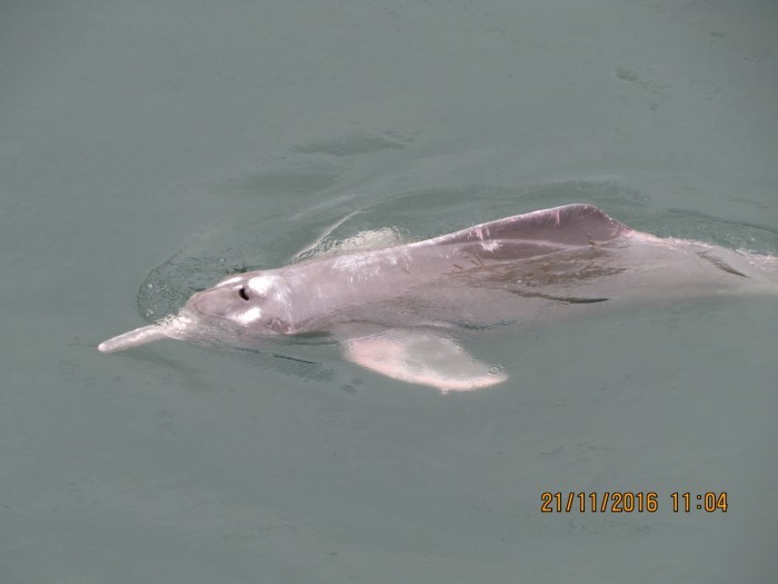 Foto: Reprodução/Secom Goiás