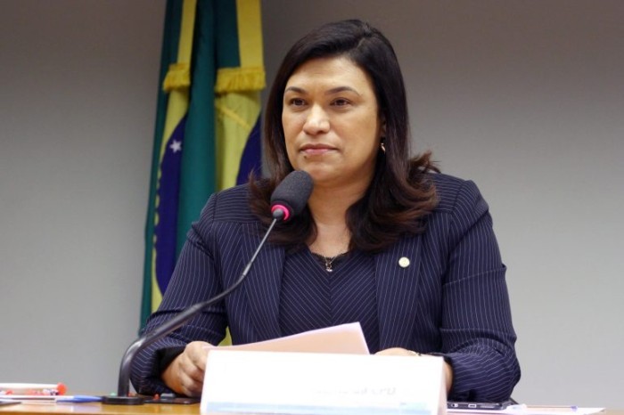 Maria Rosas, autora da proposta - (Foto: Vinicius Loures/Câmara dos Deputados)