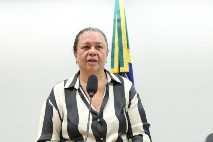 Laura Carneiro, autora da proposta - (Foto: Billy Boss/Câmara dos Deputados)