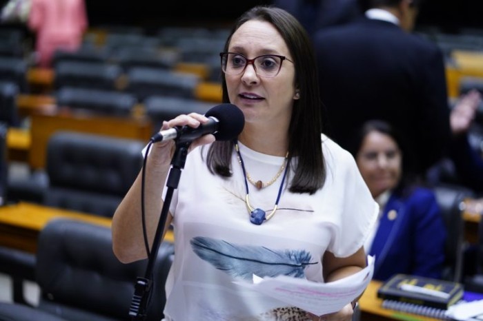 Renata Abreu: objetivo é fazer com que o jovem infrator entenda a relação de direitos e deveres do cidadão - (Foto: Pablo Valadares/Câmara dos Deputados)