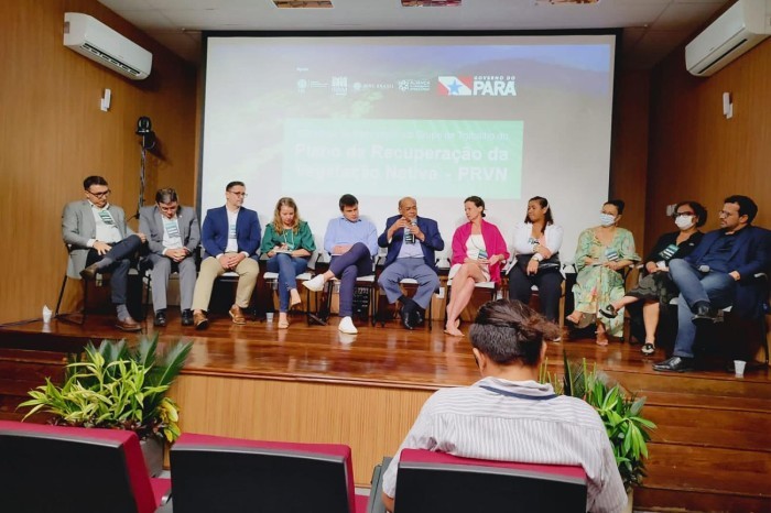 Governo do Pará pretende restaurar 5,4 milhões de hectares de floresta