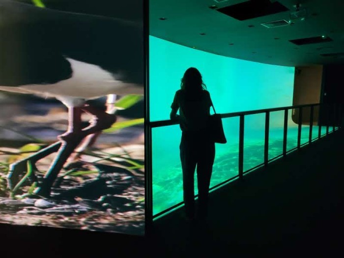 UFRJ abre terça-feira exposição sobre futuros da Baía de Guanabara