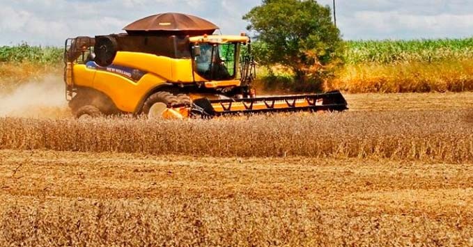Produção agrícola de MS deve aumentar 10% em um ano e superar 70 milhões de toneladas