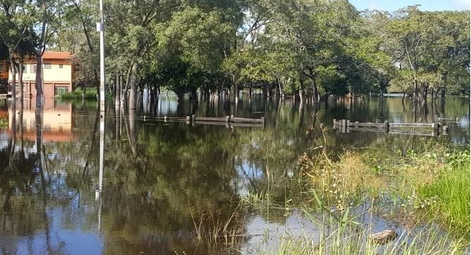 Governo do Estado reconhece estado de emergência em 19 municípios de MS